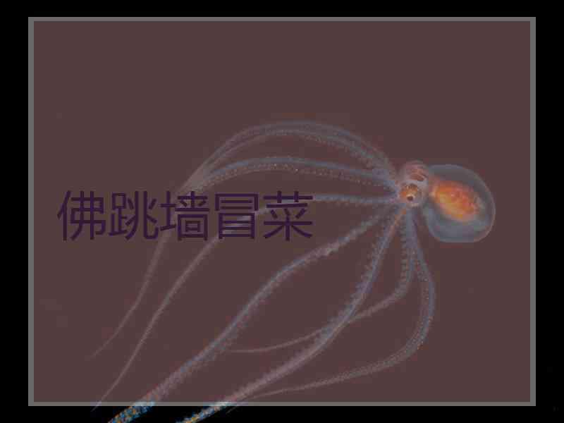 佛跳墙冒菜