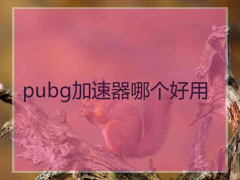 pubg加速器哪个好用