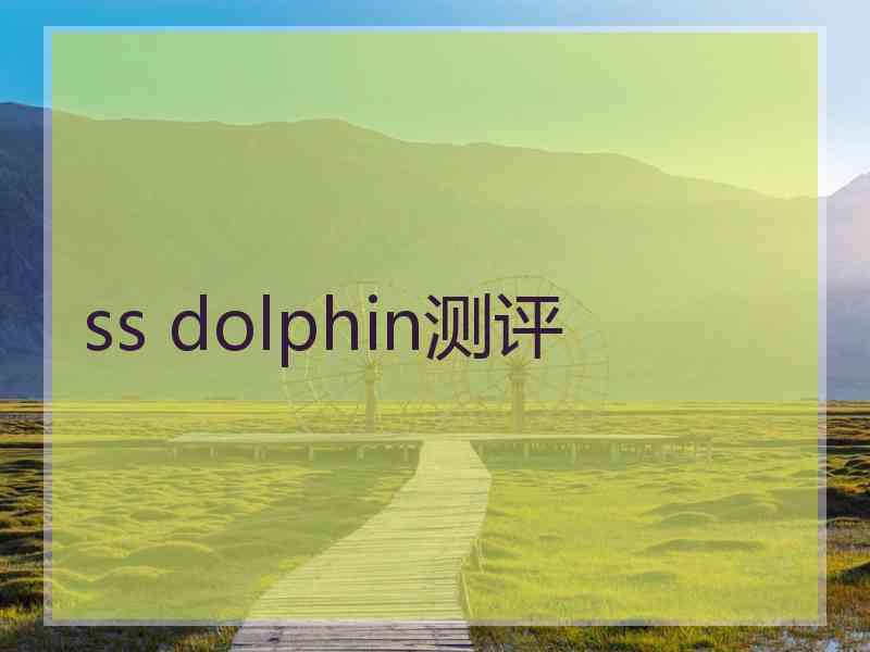 ss dolphin测评