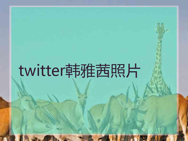 twitter韩雅茜照片