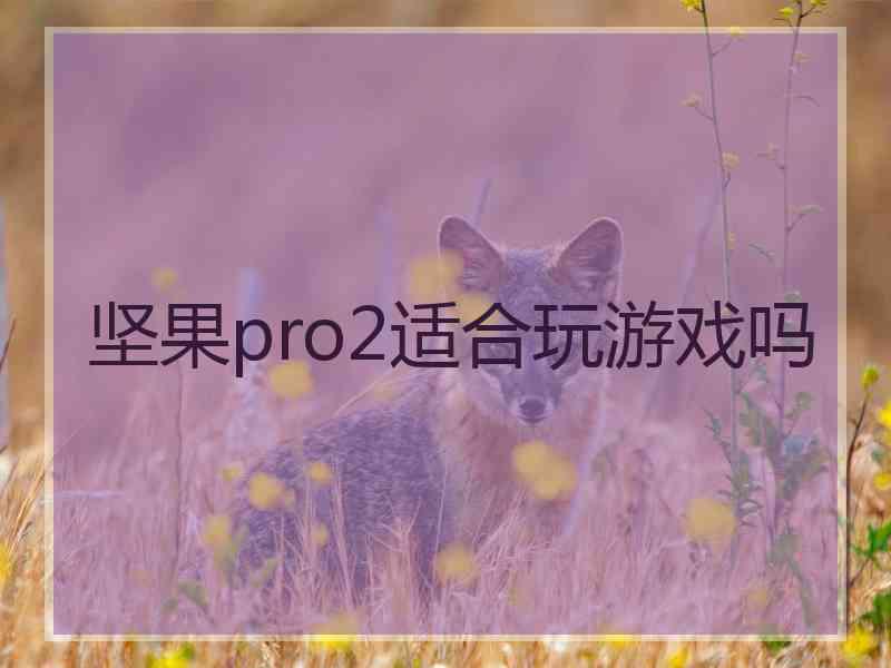 坚果pro2适合玩游戏吗
