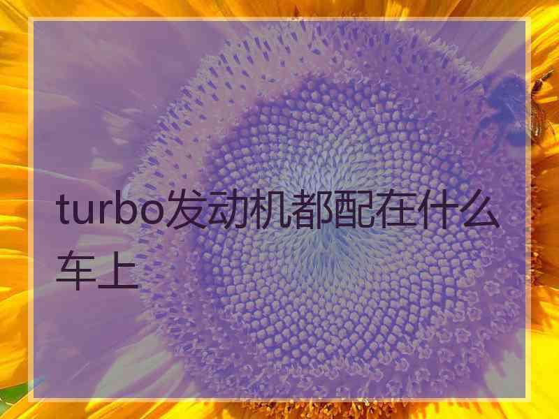 turbo发动机都配在什么车上