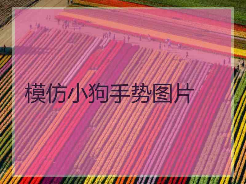 模仿小狗手势图片