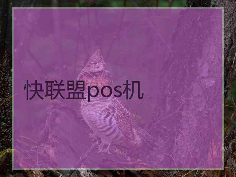 快联盟pos机