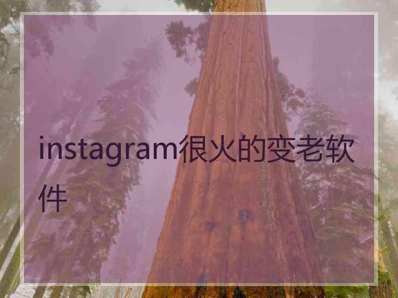 instagram很火的变老软件