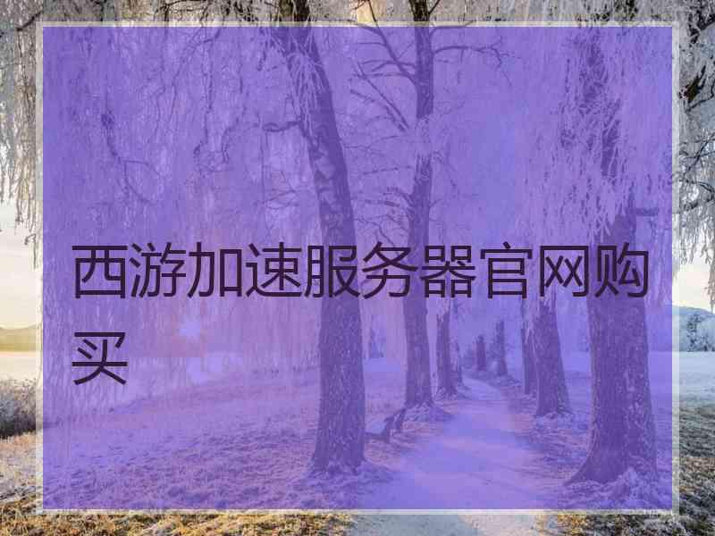 西游加速服务器官网购买