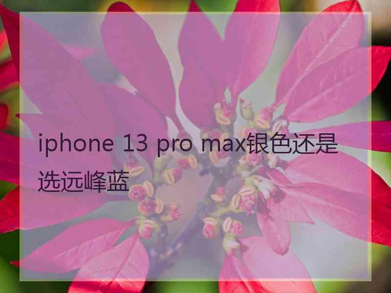 iphone 13 pro max银色还是选远峰蓝