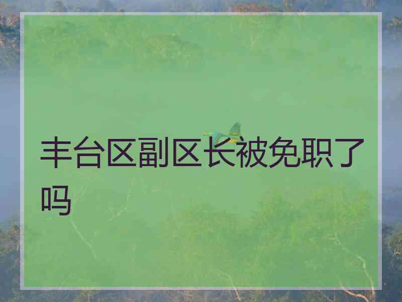 丰台区副区长被免职了吗