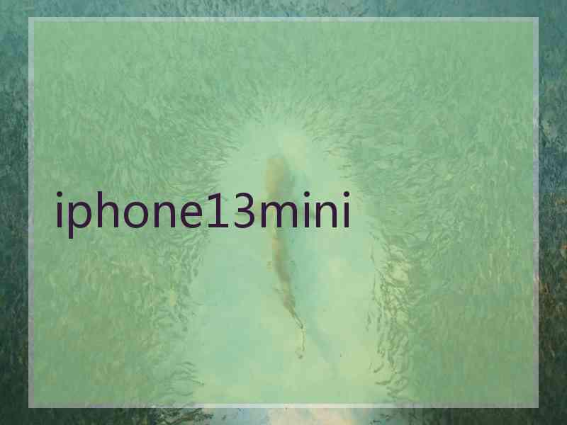 iphone13mini