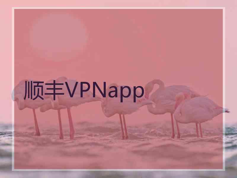 顺丰VPNapp