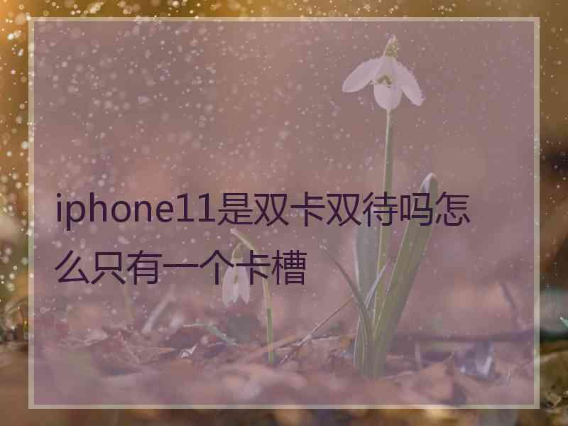 iphone11是双卡双待吗怎么只有一个卡槽