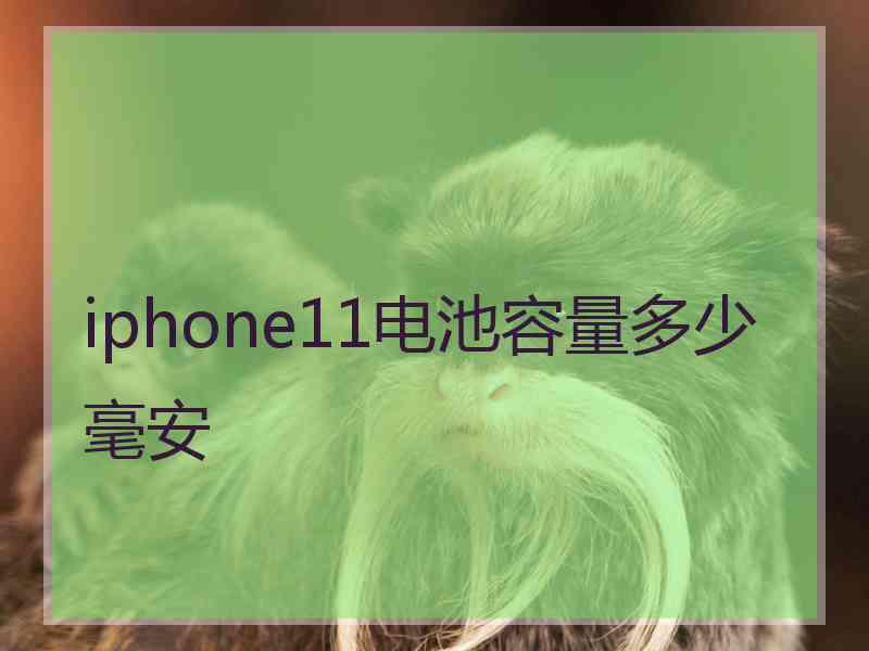 iphone11电池容量多少毫安