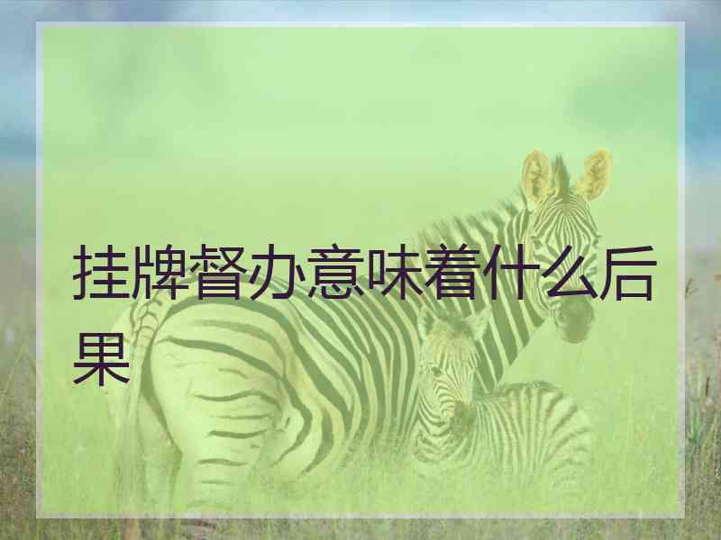 挂牌督办意味着什么后果
