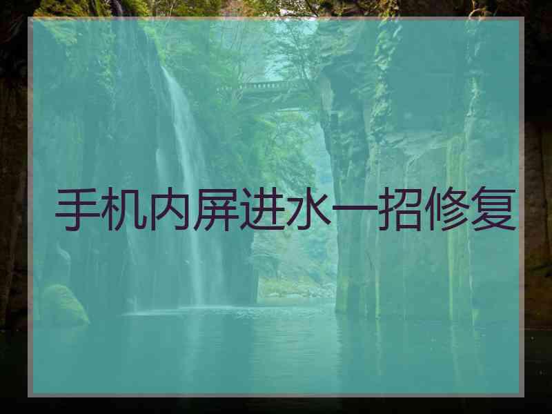 手机内屏进水一招修复