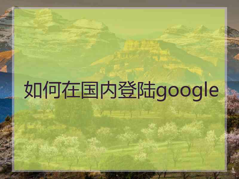 如何在国内登陆google