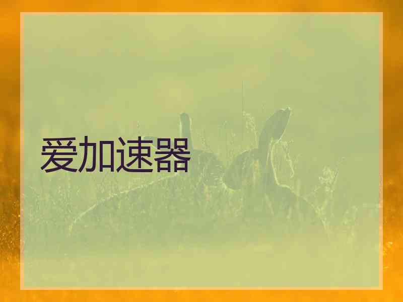 爱加速器