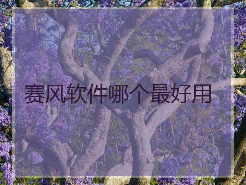 赛风软件哪个最好用