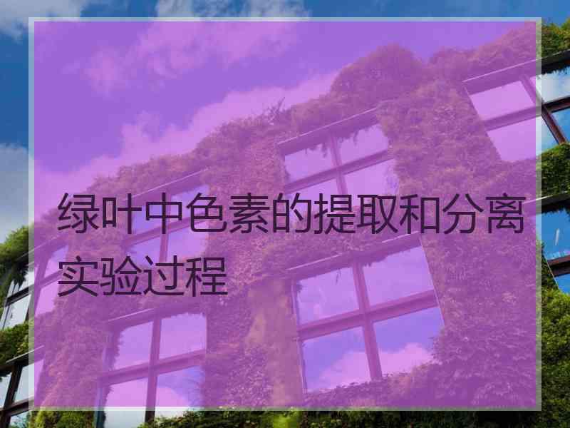 绿叶中色素的提取和分离实验过程