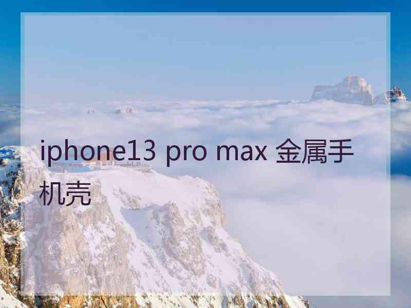 iphone13 pro max 金属手机壳