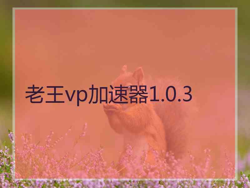 老王vp加速器1.0.3