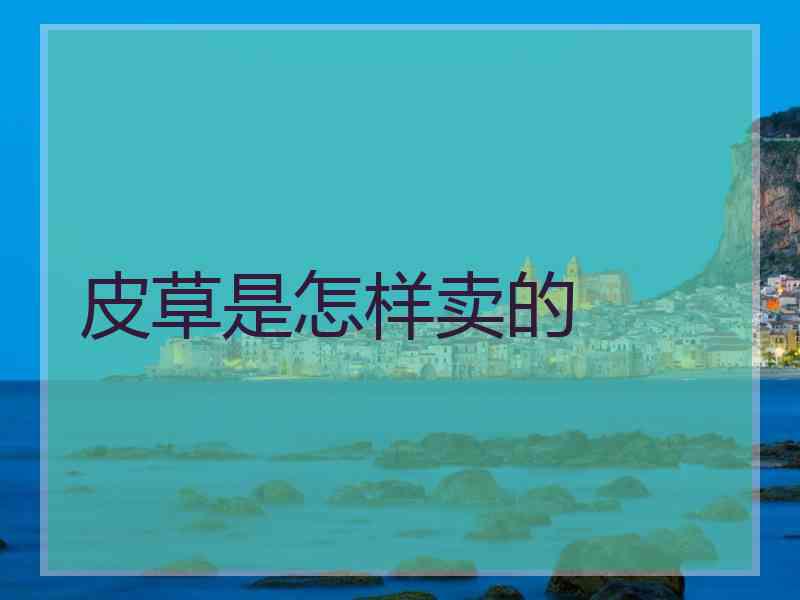 皮草是怎样卖的