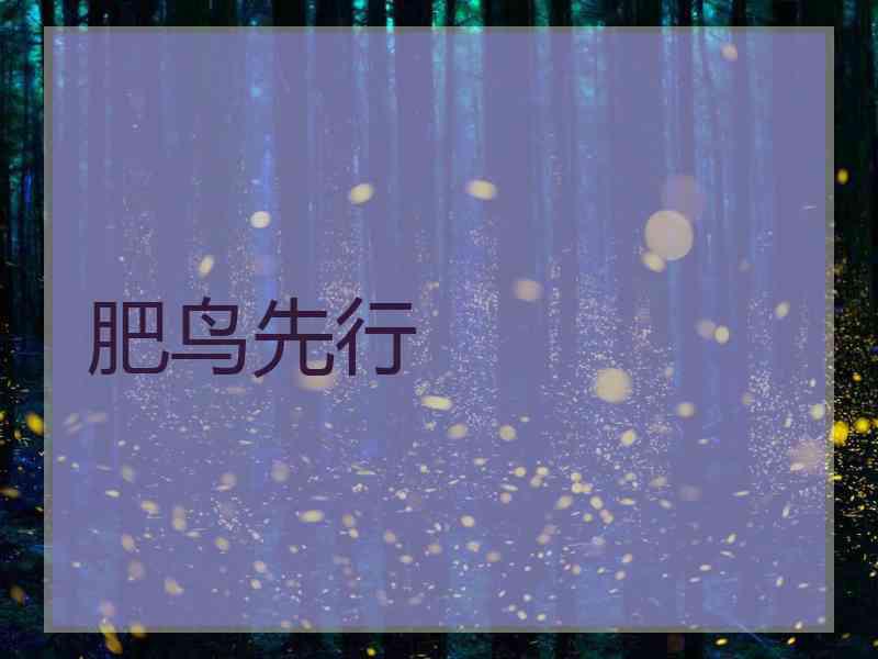 肥鸟先行
