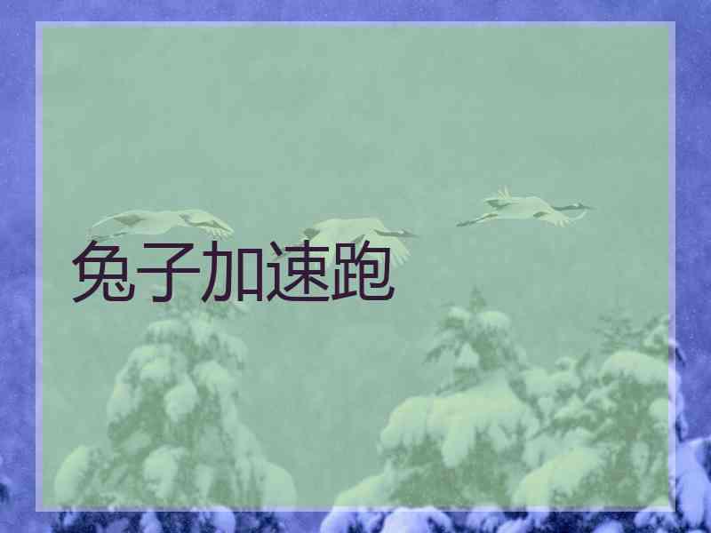 兔子加速跑
