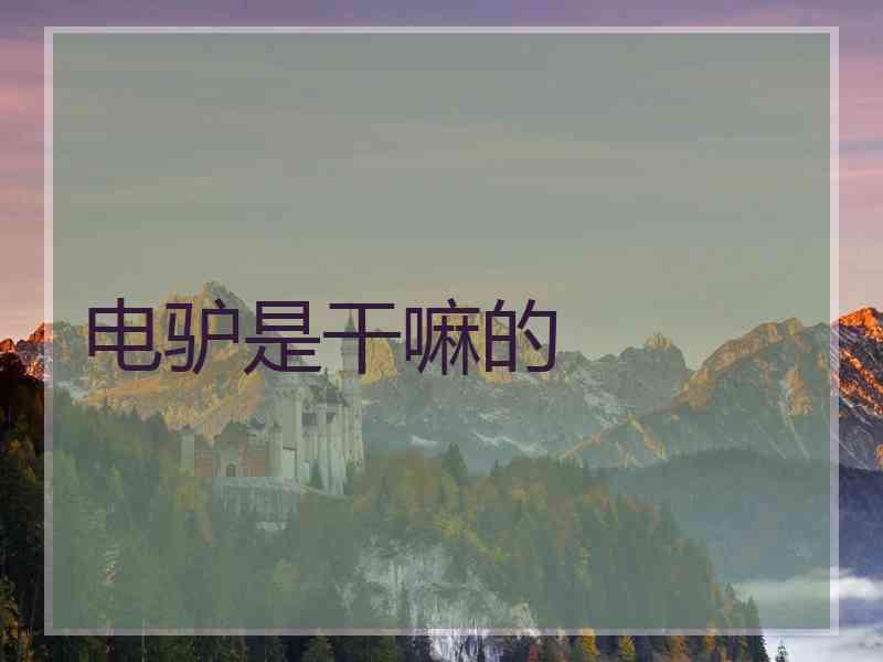 电驴是干嘛的