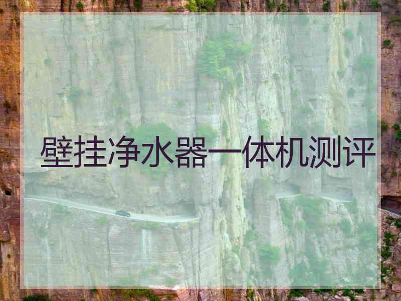壁挂净水器一体机测评