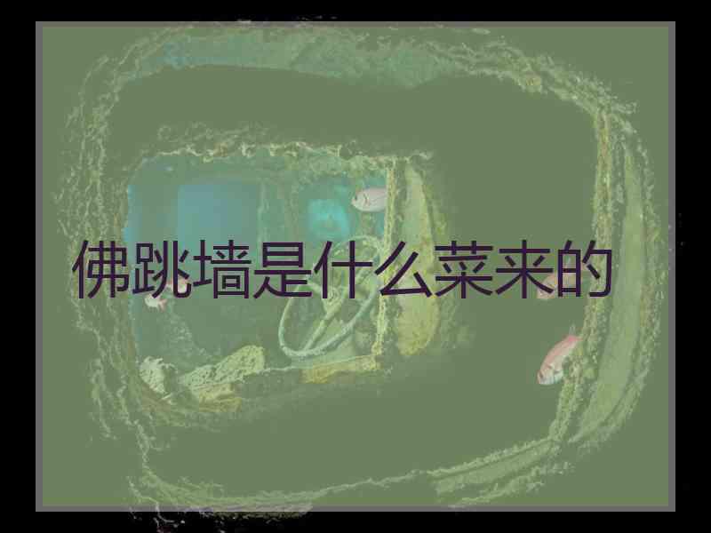 佛跳墙是什么菜来的