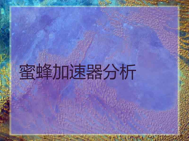 蜜蜂加速器分析