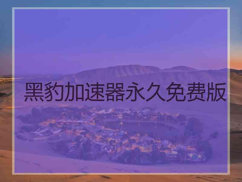 黑豹加速器永久免费版