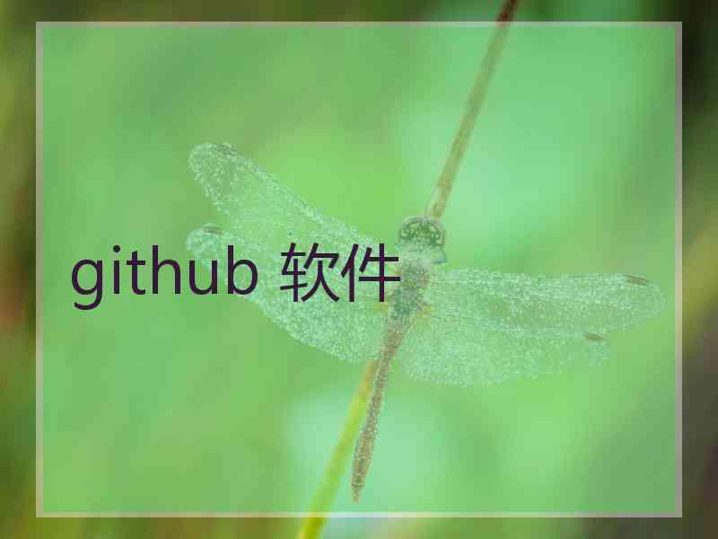 github 软件