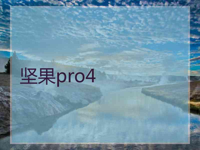 坚果pro4