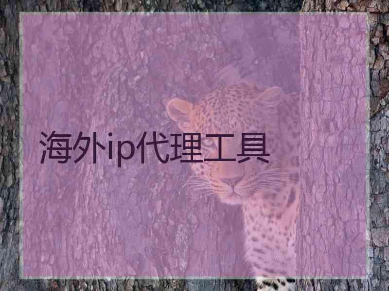 海外ip代理工具