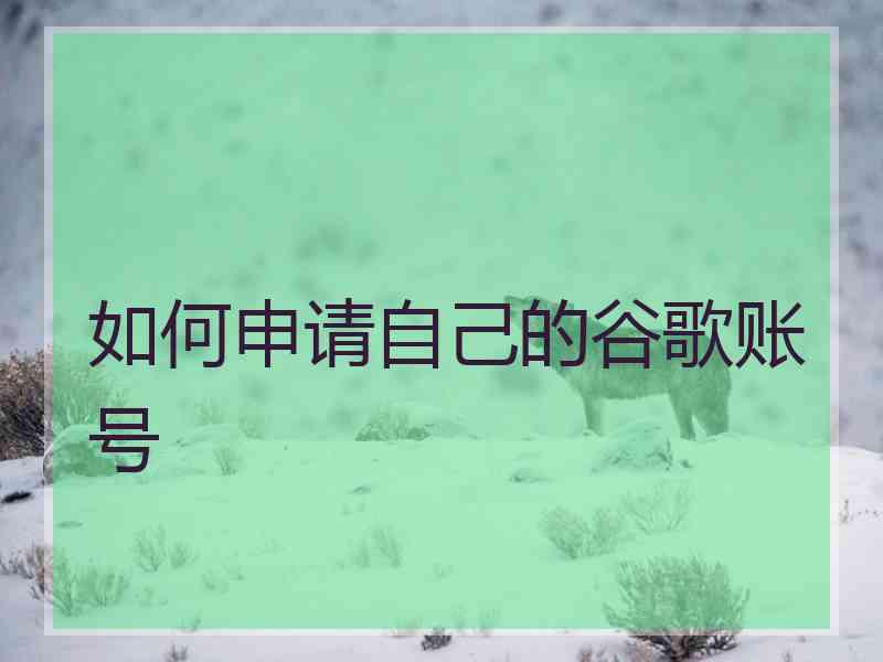 如何申请自己的谷歌账号