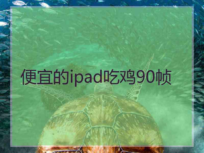 便宜的ipad吃鸡90帧