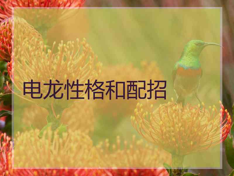 电龙性格和配招