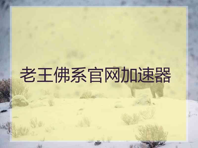 老王佛系官网加速器