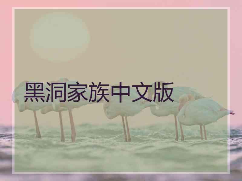 黑洞家族中文版