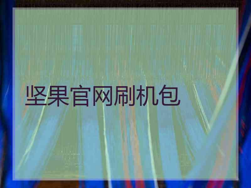 坚果官网刷机包