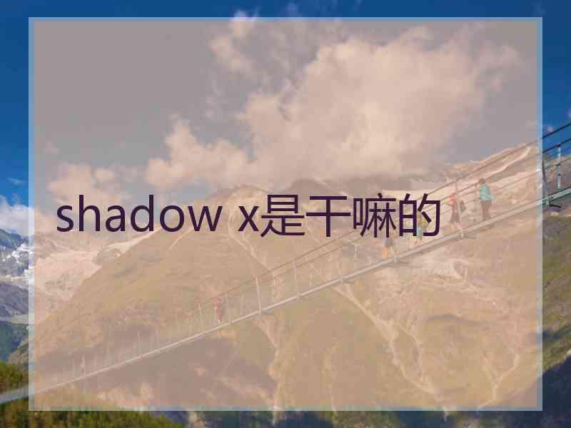 shadow x是干嘛的