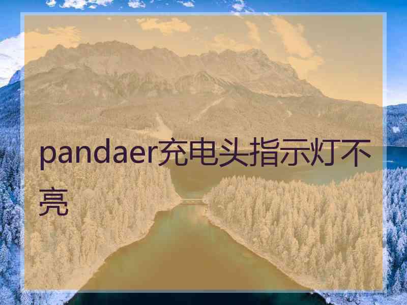 pandaer充电头指示灯不亮