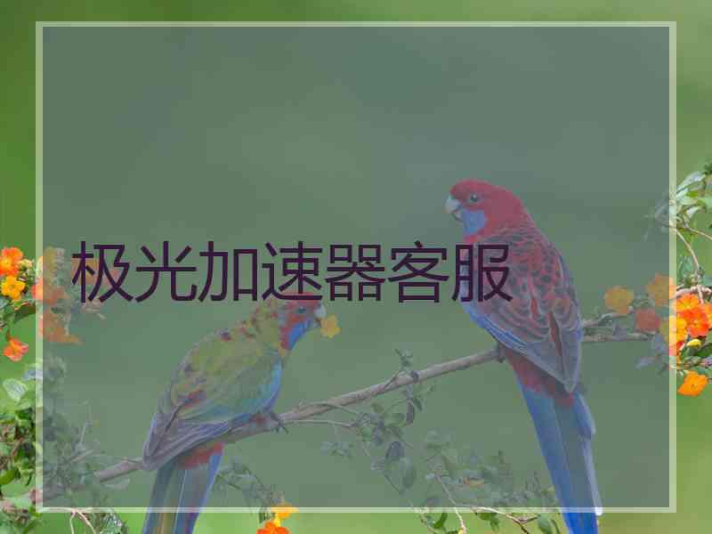 极光加速器客服