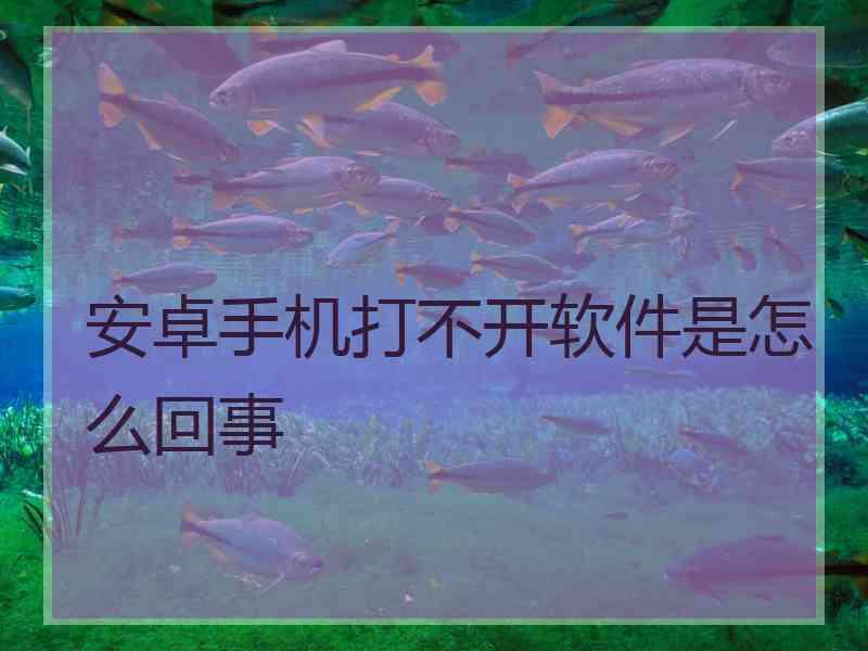 安卓手机打不开软件是怎么回事