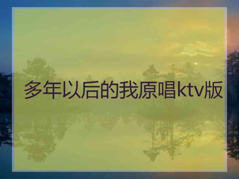 多年以后的我原唱ktv版