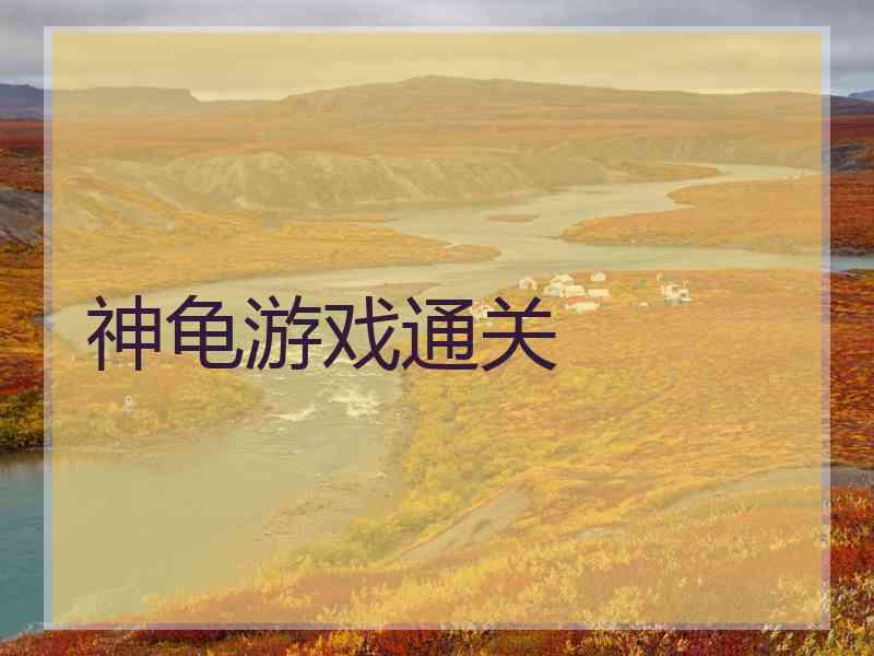 神龟游戏通关