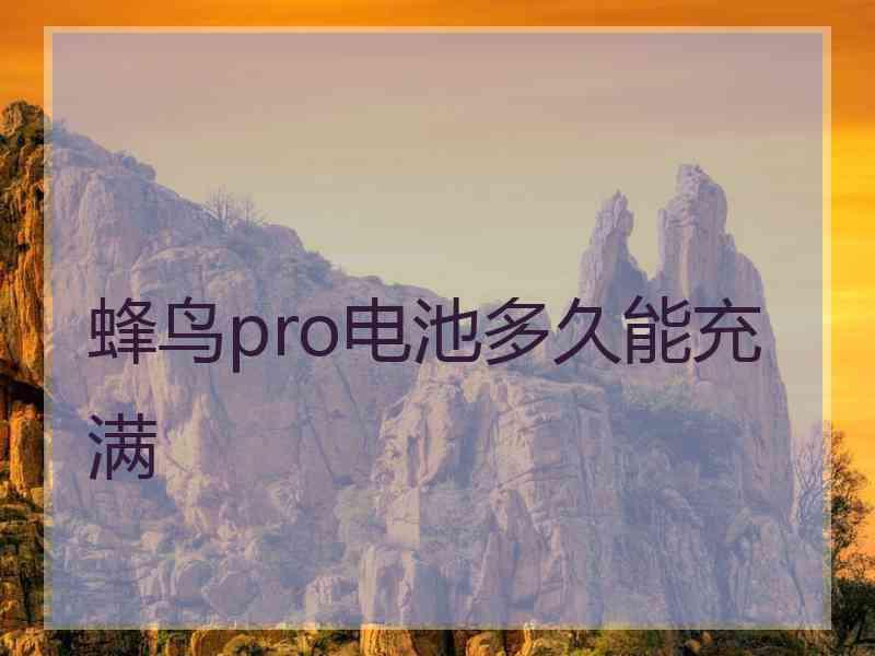蜂鸟pro电池多久能充满