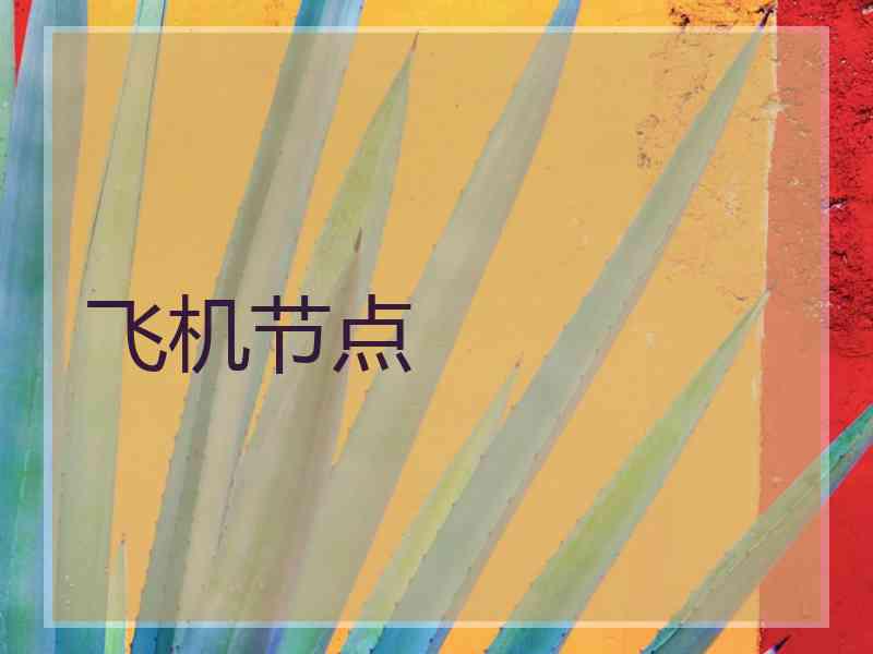 飞机节点