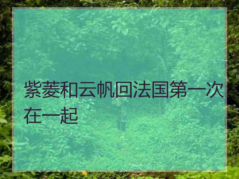 紫菱和云帆回法国第一次在一起